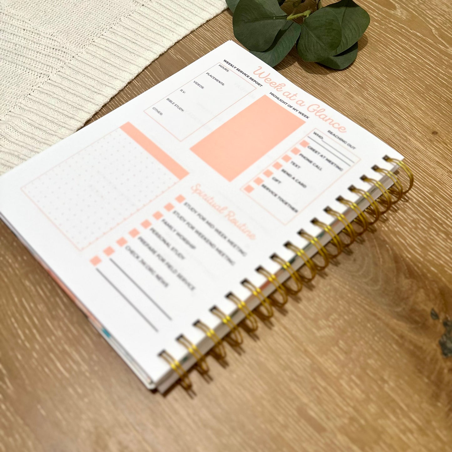Theocratic Planner 23-24